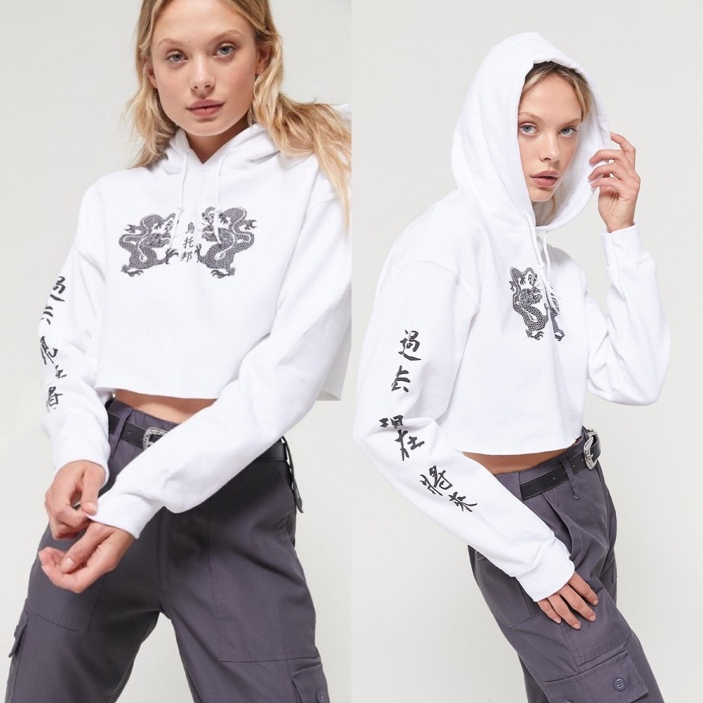 COPY - NWT Urban Outfitters Cropped Dragon Hoodie…